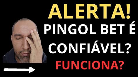 pingo bets,PingolBet